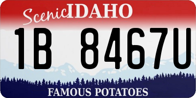ID license plate 1B8467U