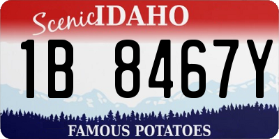 ID license plate 1B8467Y