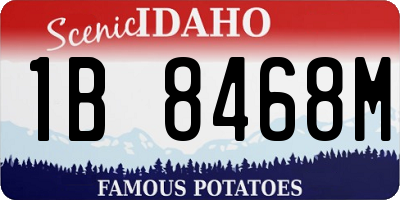 ID license plate 1B8468M