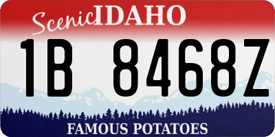 ID license plate 1B8468Z