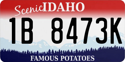 ID license plate 1B8473K