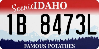 ID license plate 1B8473L