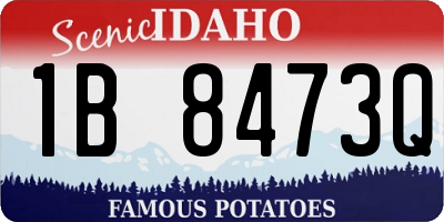 ID license plate 1B8473Q