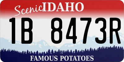 ID license plate 1B8473R