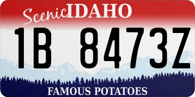ID license plate 1B8473Z