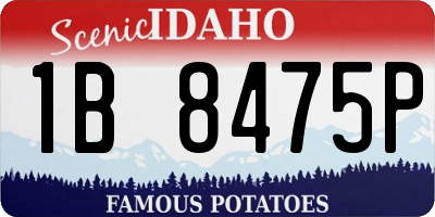 ID license plate 1B8475P