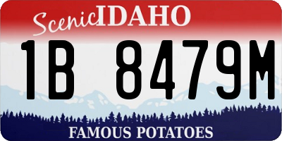 ID license plate 1B8479M