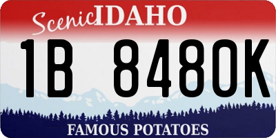 ID license plate 1B8480K