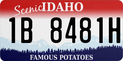 ID license plate 1B8481H