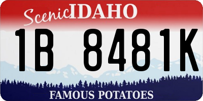 ID license plate 1B8481K