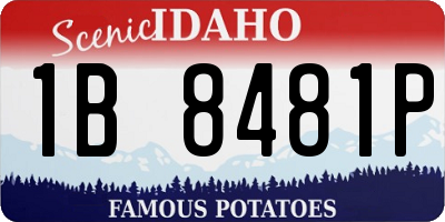 ID license plate 1B8481P
