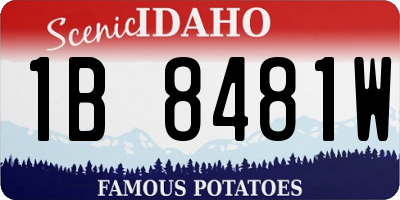 ID license plate 1B8481W
