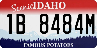 ID license plate 1B8484M