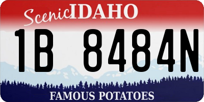 ID license plate 1B8484N