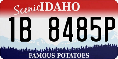 ID license plate 1B8485P