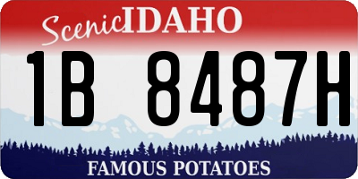 ID license plate 1B8487H