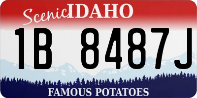ID license plate 1B8487J