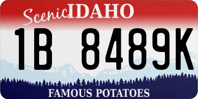 ID license plate 1B8489K