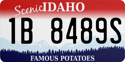 ID license plate 1B8489S
