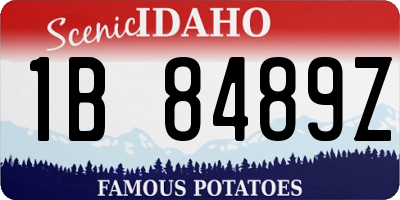 ID license plate 1B8489Z