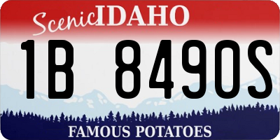 ID license plate 1B8490S