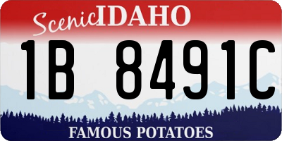 ID license plate 1B8491C