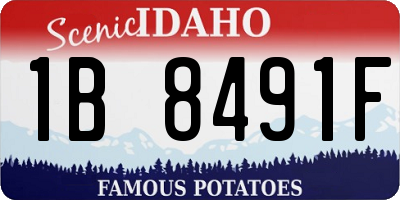 ID license plate 1B8491F