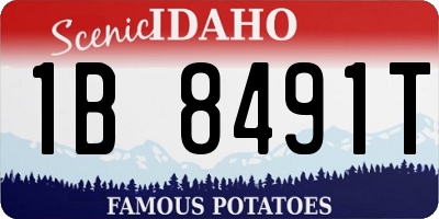 ID license plate 1B8491T