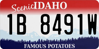 ID license plate 1B8491W