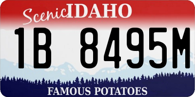 ID license plate 1B8495M