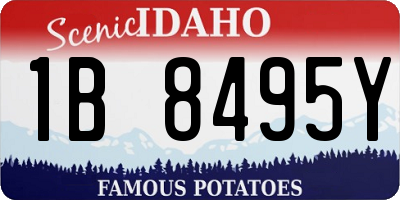 ID license plate 1B8495Y