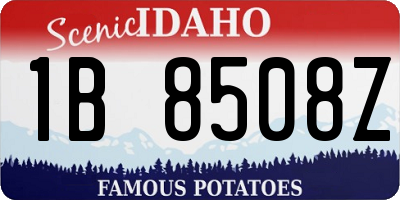 ID license plate 1B8508Z