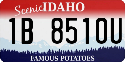 ID license plate 1B8510U