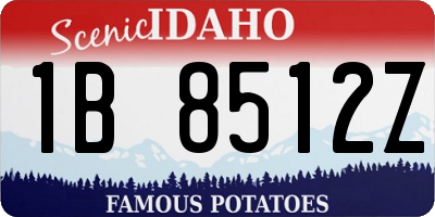 ID license plate 1B8512Z