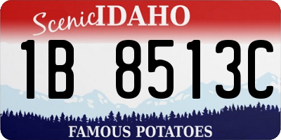 ID license plate 1B8513C
