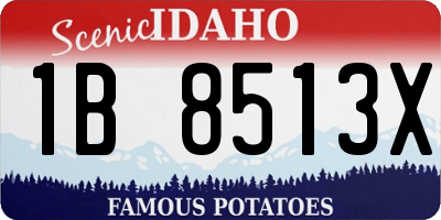 ID license plate 1B8513X