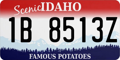 ID license plate 1B8513Z