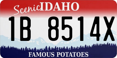 ID license plate 1B8514X