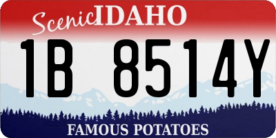 ID license plate 1B8514Y
