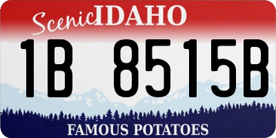 ID license plate 1B8515B