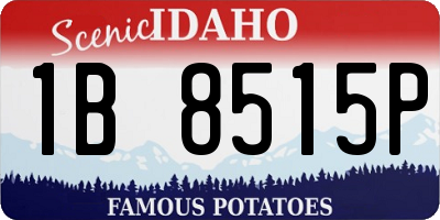 ID license plate 1B8515P