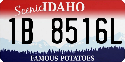 ID license plate 1B8516L