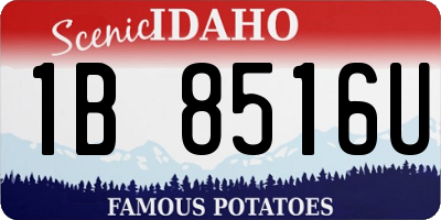 ID license plate 1B8516U