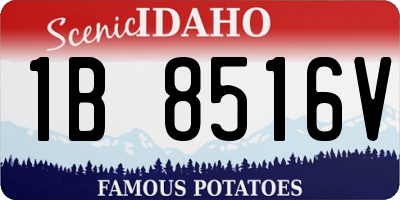 ID license plate 1B8516V
