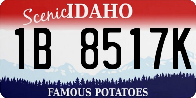 ID license plate 1B8517K