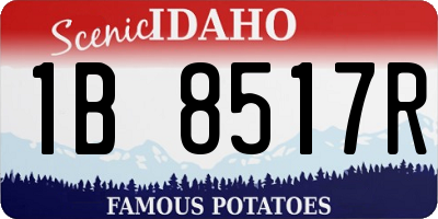 ID license plate 1B8517R