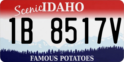 ID license plate 1B8517V