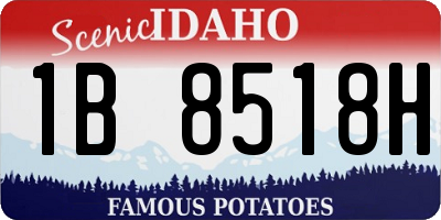 ID license plate 1B8518H