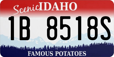 ID license plate 1B8518S