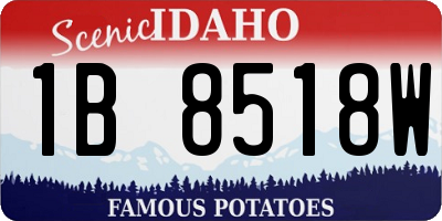 ID license plate 1B8518W